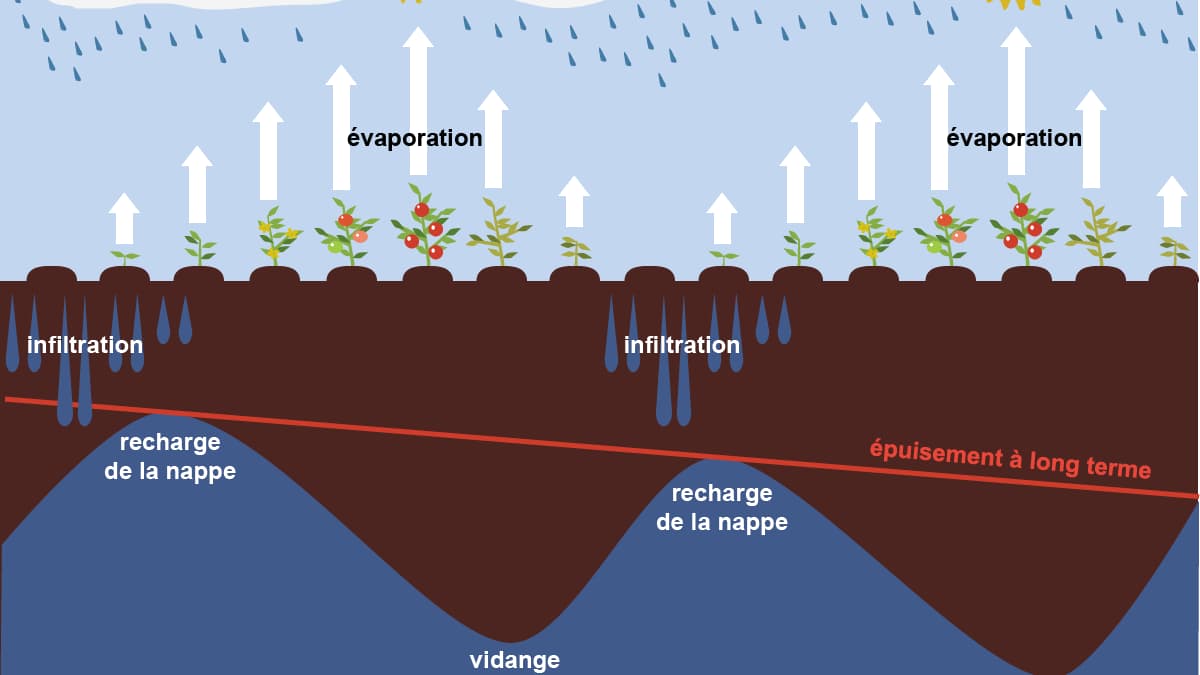 Infographie sécheresse hydrique Infographie sécheresse hydrique
