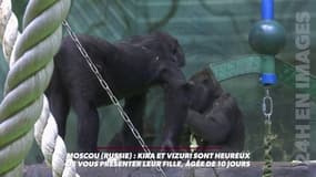 Moscou: Kira et Vizuri sont heureux de vous présenter leur fille, âgée de 10 jours !