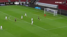 Bayer-Nice