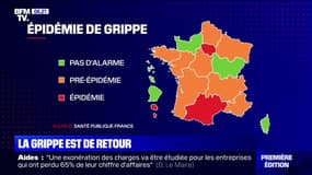La grippe fait son grand retour en France, le stade épidémique déclaré en Île-de-France et en Occitanie