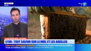 Miel, randonnée, crêpes... Les idées de sortie de Lyon Week-end