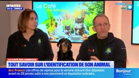 Le Café des Animaux: quelques conseils pour bien identifier son animal