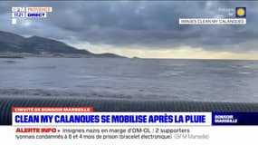 Marseille: l'association Clean my calanques veut des mesures pour la gestion des déchets