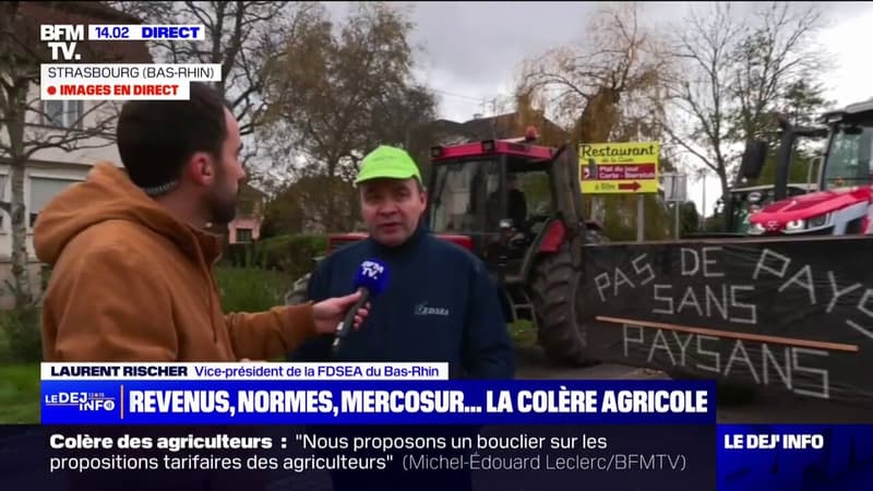 Colère des agriculteurs: des dizaines de tracteurs se rassemblent à Strasbourg