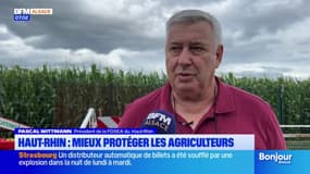Haut-Rhin: un accord signé entre le FDSEA, la préfecture et les forces de l'ordre pour protéger les agriculteurs
