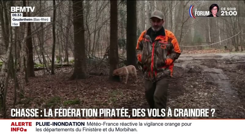 Le site de la Fédération de la Chasse a été victime d'une cyberattaque visant les données des détenteurs du permis