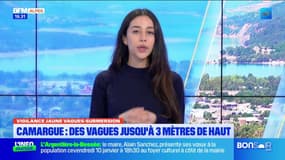 JT du Sud du lundi 6 janvier