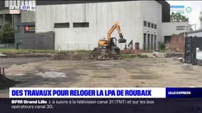 Roubaix: la Ligue protectrice des animaux va déménager