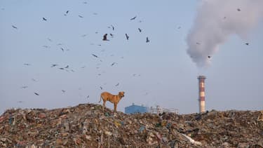 Décharge à New Delhi.