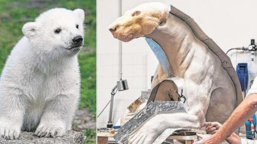 Une version en plastique de Knut sera exposée au muséum d'histoire naturelle de Berlin.