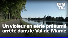 Un homme de 18 ans incarcéré après un viol et des tentatives de viols dans un parc du Val-de-Marne