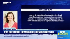 Culture Bourse : « Pensez-vous qu’un jour, une société française ou européenne pourrait passer le cap des 1 000 milliards d’euros de capitalisation boursière ? »  par Julie Cohen-Heurton - 14/03