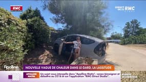 Nouvelle vague de chaleur : dans le Gard, la lassitude des locaux et des touristes
