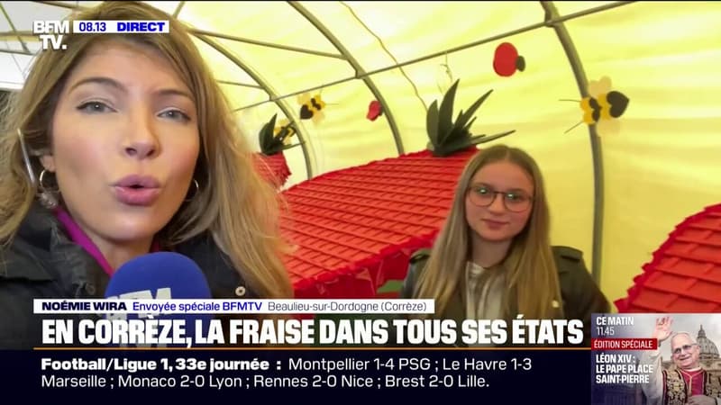 Fraises: quelle variété choisir ?