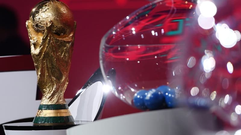 La Fifa réfléchit à organiser la Coupe du monde tous les deux ans