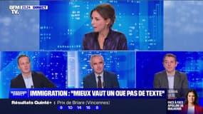 Immigration : "Mieux vaut un que pas de texte" - 17/12