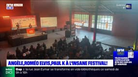 Vaucluse: Roméo Elvis, Angèle à l'affiche de l'Insane Festival