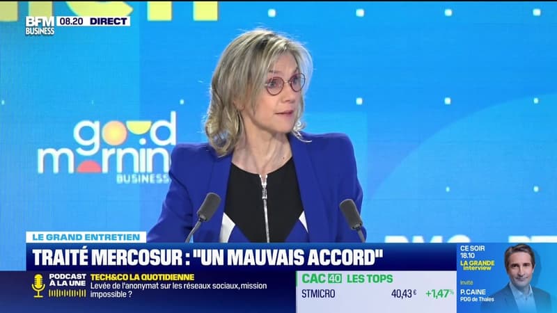 Agnès Pannier-Runacher (Ministère de l'Agriculture) : Traité Mercosur, 