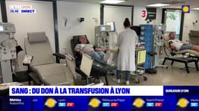 Du don du sang à la transfusion à Lyon