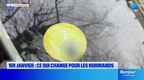 ZFE, carte grise, RSA... ce qui change en Normandie au 1er janvier 2025