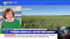 Pyrénées-Orientales : restrictions suivies ? - 13/05
