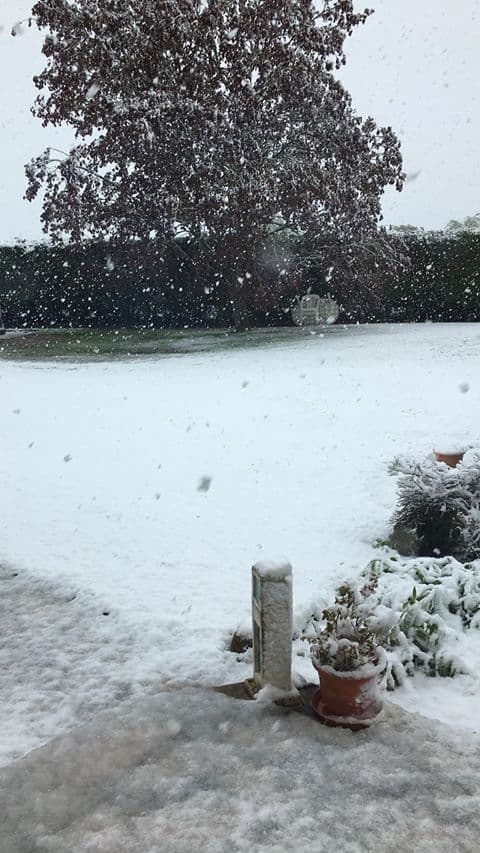 De la neige en Normandie un 30 avril. 