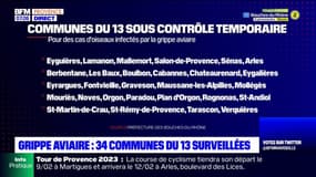 Bouches-du-Rhône: 34 communes sous contrôle temporaire après des cas de grippe aviaire