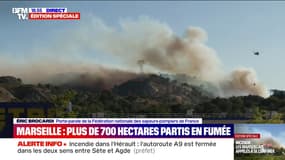 Incendie à Marseille: 400 personnes ont été évacuées 