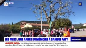 Les Mées: un arbre planté ce vendredi en hommage à Samuel Paty