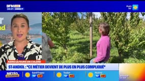Le journal de 8h du vendredi 26 septembre 2025 