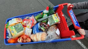 Caddie de courses alimentaires (illustration)