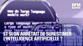  Et si on arrêtait de surestimer l'intelligence artificielle ? 