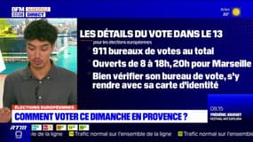 Élections européennes: comment voter ce dimanche dans les Bouches-du-Rhône?