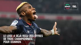 Mercato : Osimhen; le Losc a déjà reçu des offres de trois championnats