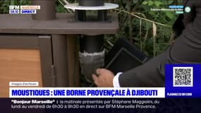 Bouches-du-Rhône: une entreprise spécialisée dans les bornes anti-moustiques va fournir 72 dispositifs à Djibouti