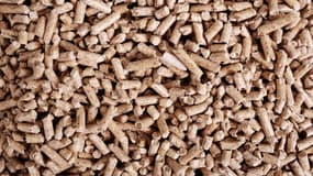 La plateforme Boisreduc a publié son baromètre trimestriel du prix du bois (pellets ou granulés de bois).