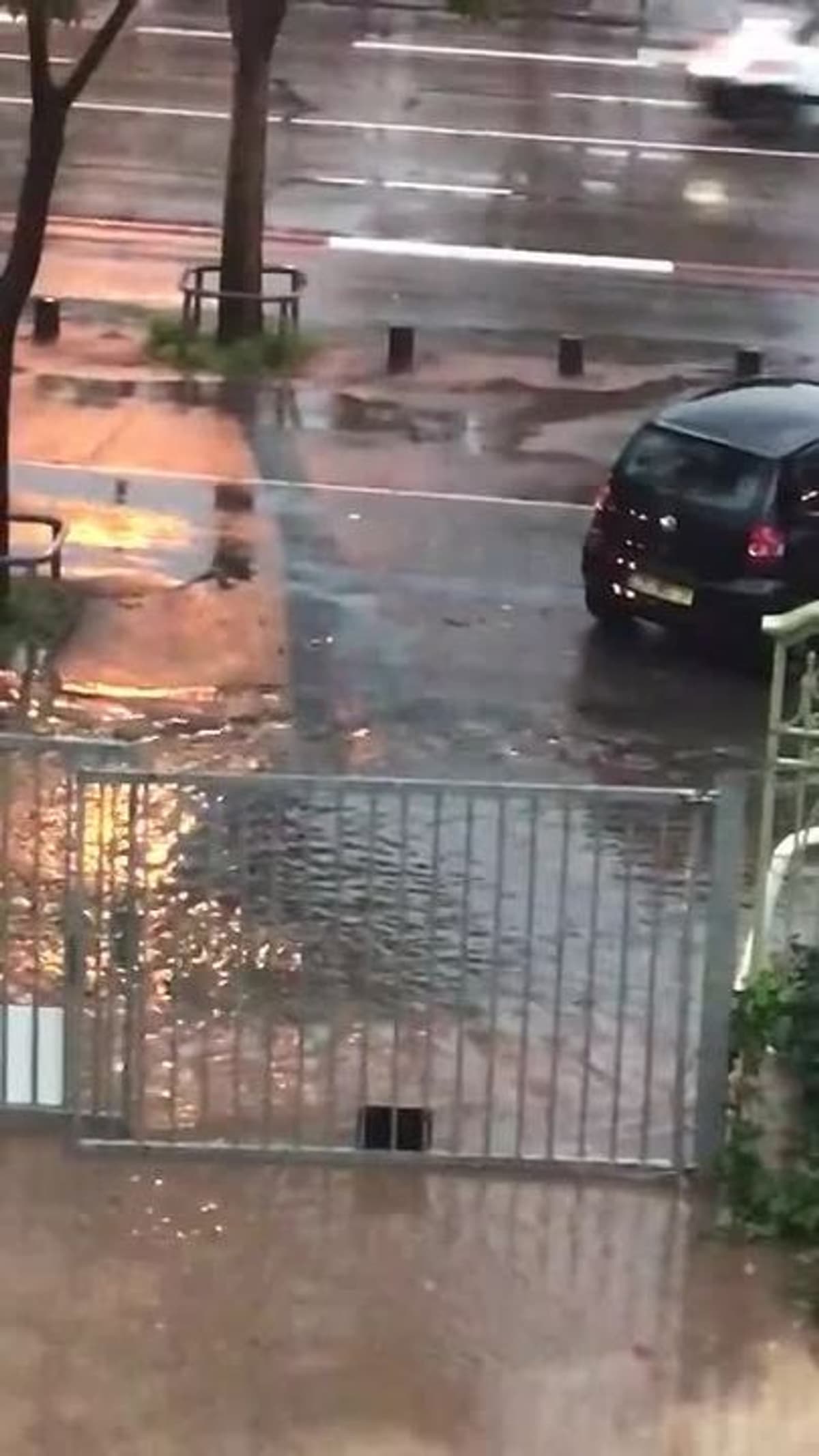 placeholder video