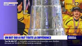 "Un esprit de famille": les Dragons de Rouen en fête après leur 18e titre de champions de France