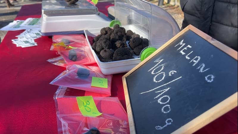 La première édition de la Fête des olives et de la truffe a eu lieu ce dimanche 11 février à Sainte-Tulle.