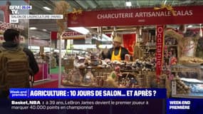 Fin du Salon de l'agriculture: quel est le bilan pour les agriculteurs après cette édition particulière?