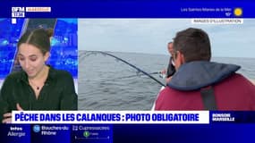 Calanques: un projet d'arrêté qui rendrait obligatoire de prendre en photo les poissons pêchés