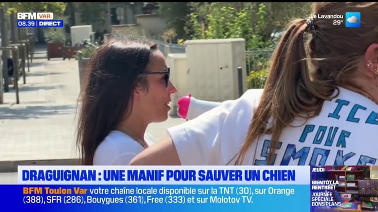 Draguignan : une manifestation pour sauver un chien