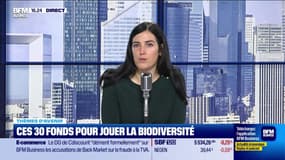 Ces 30 fonds d'investissement pour jouer la biodiversité - 15/11