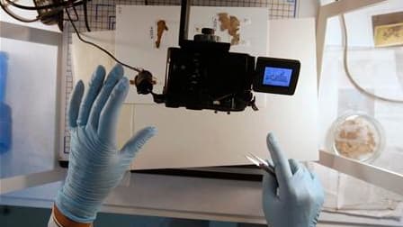 Présentation d'un des manuscrits de la mer Morte dans un laboratoire du Musée national de Jérusalem. Les Archives nationales israéliennes préparent avec Google la mise en ligne de la totalité de ces manuscrits, ainsi que des parchemins antiques découverts