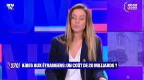 Aides aux étrangers : un coût de 20 milliards ? - 12/02