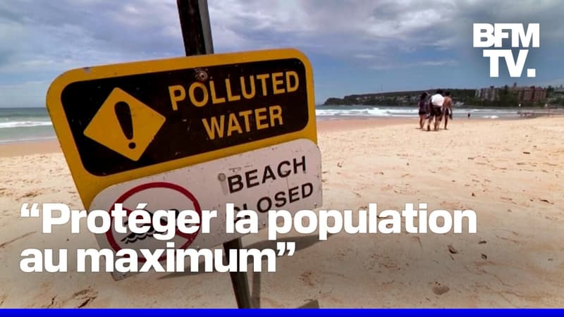 Australie: ce que l'on sait de ces mystérieuses boules grises qui se sont échouées sur plusieurs plages de Sydney