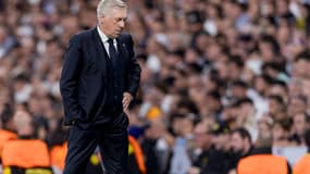 Carlo Ancelotti lors du match Real Madrid-Dortmund (5-2, Ligue des champions), le 22 octobre 2024