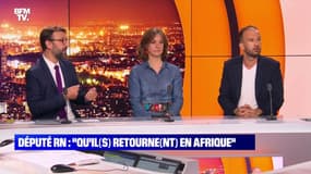 "Qu'il(s) retourne(nt) en Afrique" : incident à l'Assemblée - 03/11