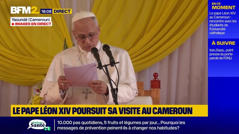 Au Cameroun, Léon XIV dénonce les "ravages environnementaux et sociaux causés par la course effrénée aux matières premières et aux terres rares"