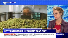 Lutte anti-drogue: le combat sans fin ? - 17/09